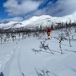 Koselig Hus Naer Sjo Og Fjell بيت للعطل Nord-Lenangen