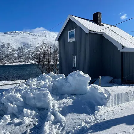 Koselig Hus Naer Sjo Og Fjell