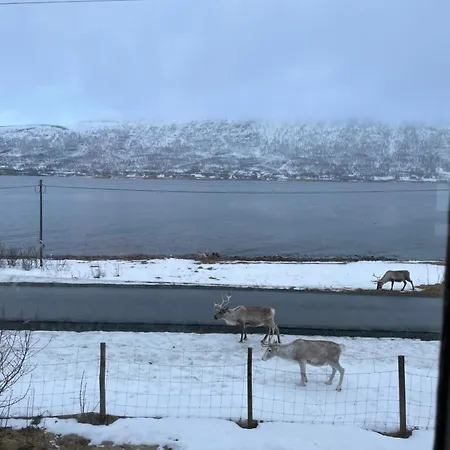 Vakantiehuis Koselig Hus Naer Sjo Og Fjell