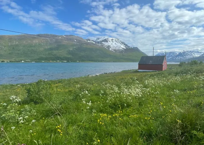 Koselig Hus Naer Sjo Og Fjell Tatil Evi