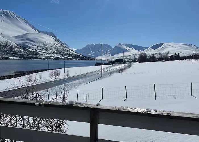 Koselig Hus Naer Sjo Og Fjell Semesterbostad Nord-Lenangen