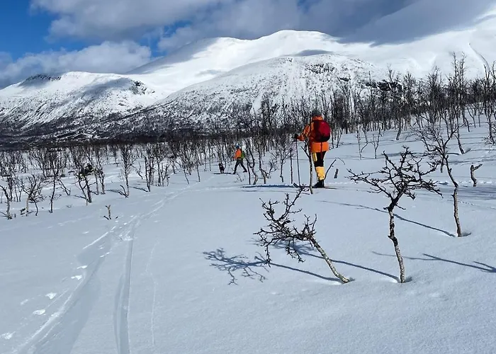 Koselig Hus Naer Sjo Og Fjell Semesterbostad Nord-Lenangen