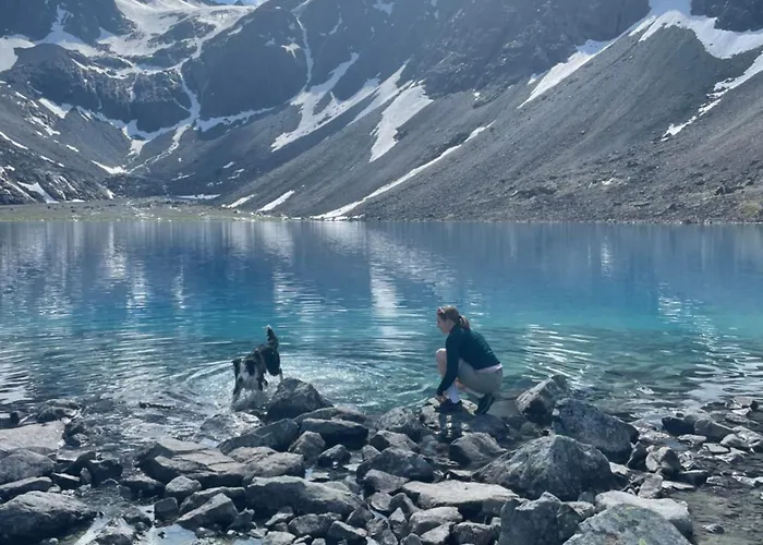 Koselig Hus Naer Sjo Og Fjell Nord-Lenangen